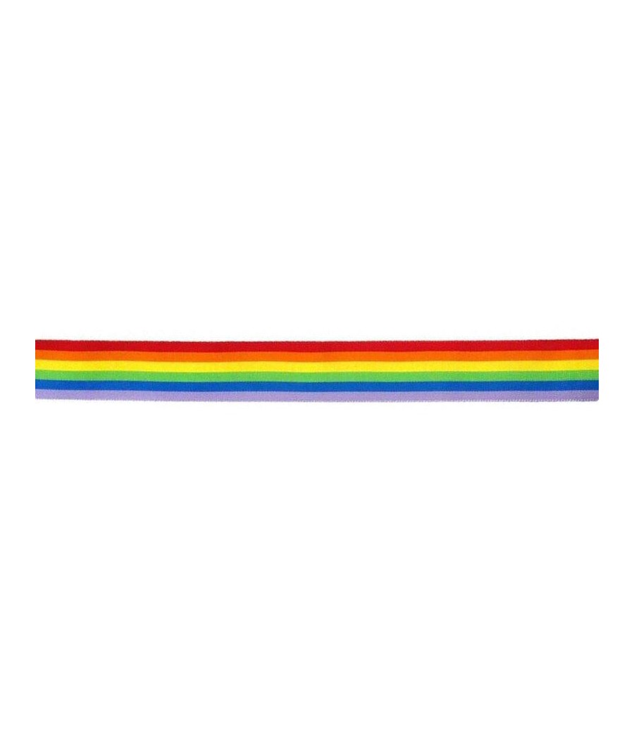 TengoQueProbarlo Banda Colores Bandera LGBT+ DIVERTY SEX  LGBT