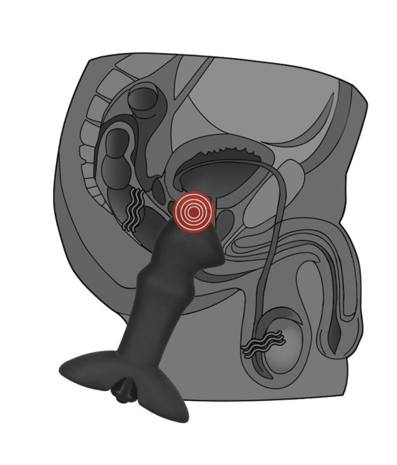 TengoQueProbarlo Plug Anal Prostate con Vibración Stud Negro LOVETOY  Plugs Eróticos
